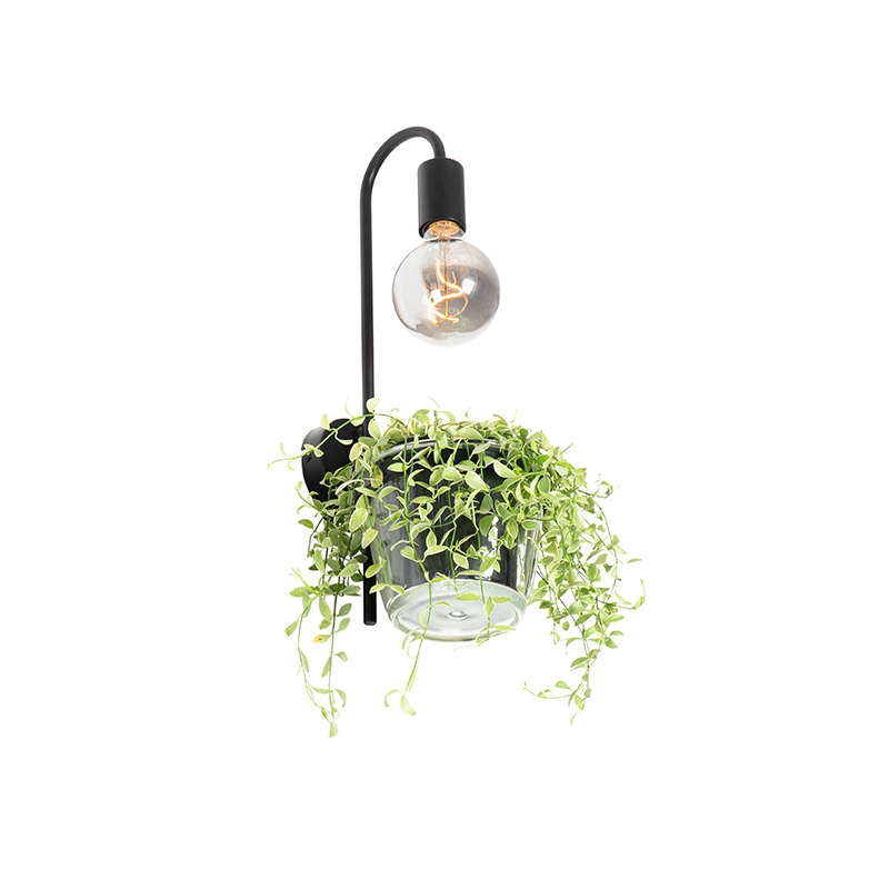 Moderne wandlamp zwart met glas - Roslini